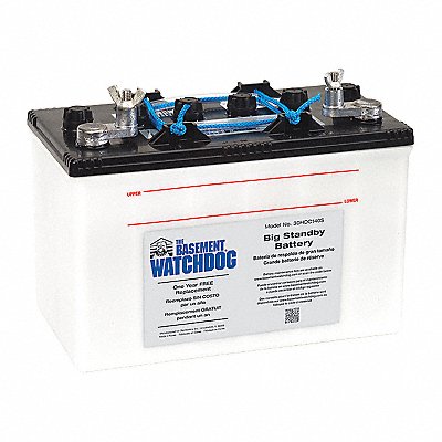 Sump Pump Batteries image
